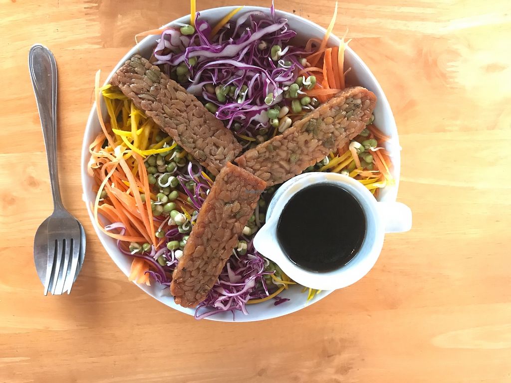 Vegan buddha bowl with red cabbage, carrot and grilled patties at Orion Cafe, Koh Phangan