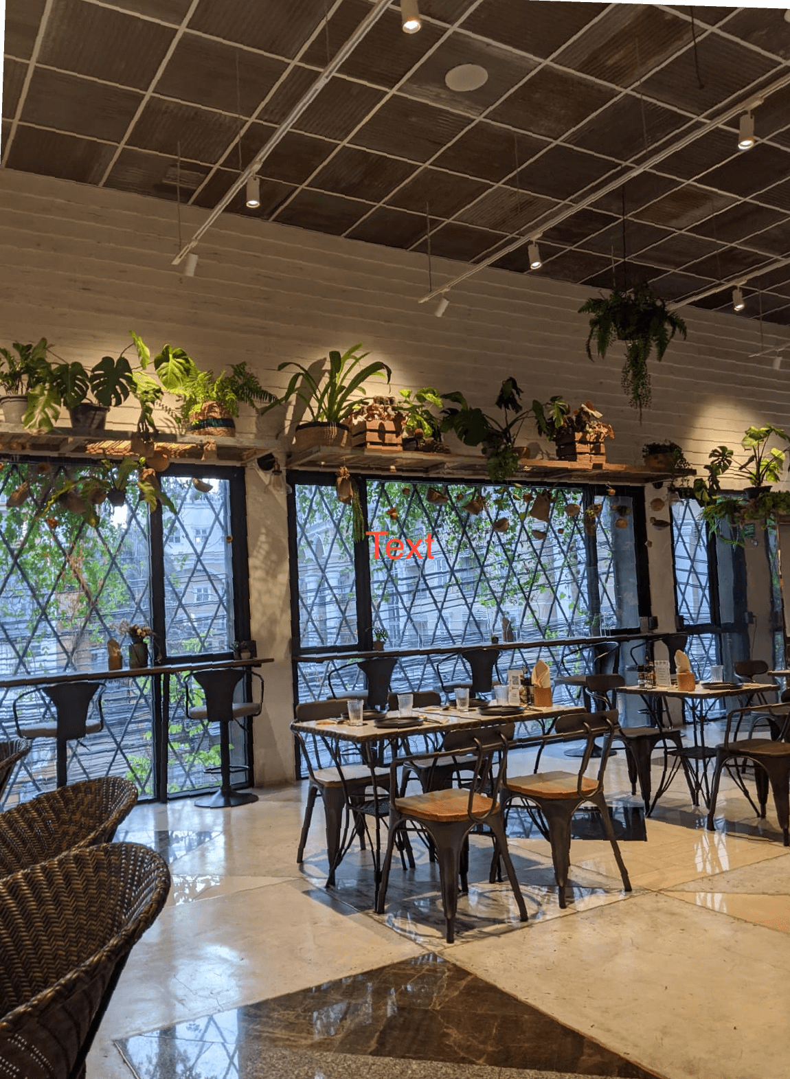 Bangkok's Vegan Restaurants Leading A PlantBased Way Roaming Vegans