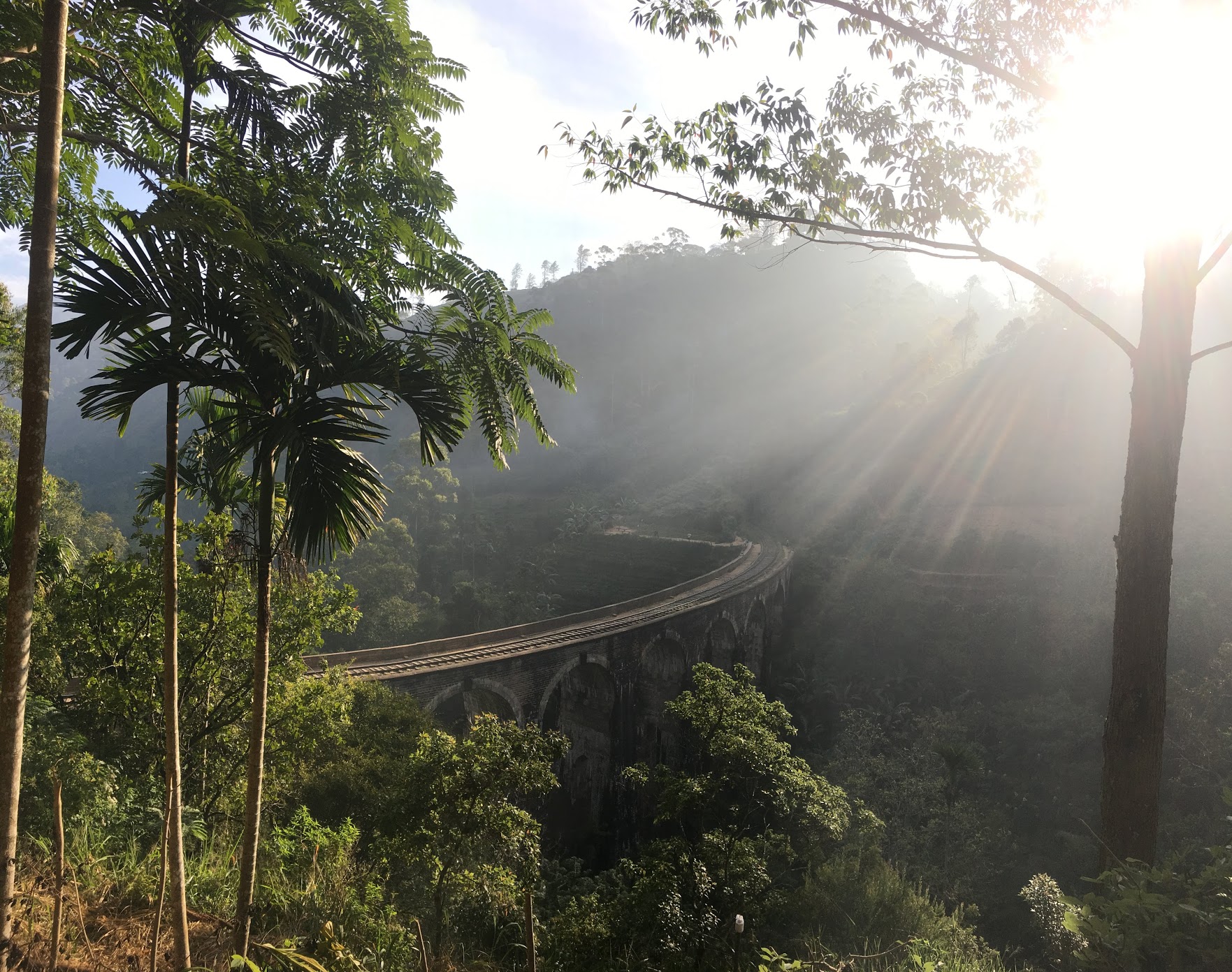 ella train sunrise