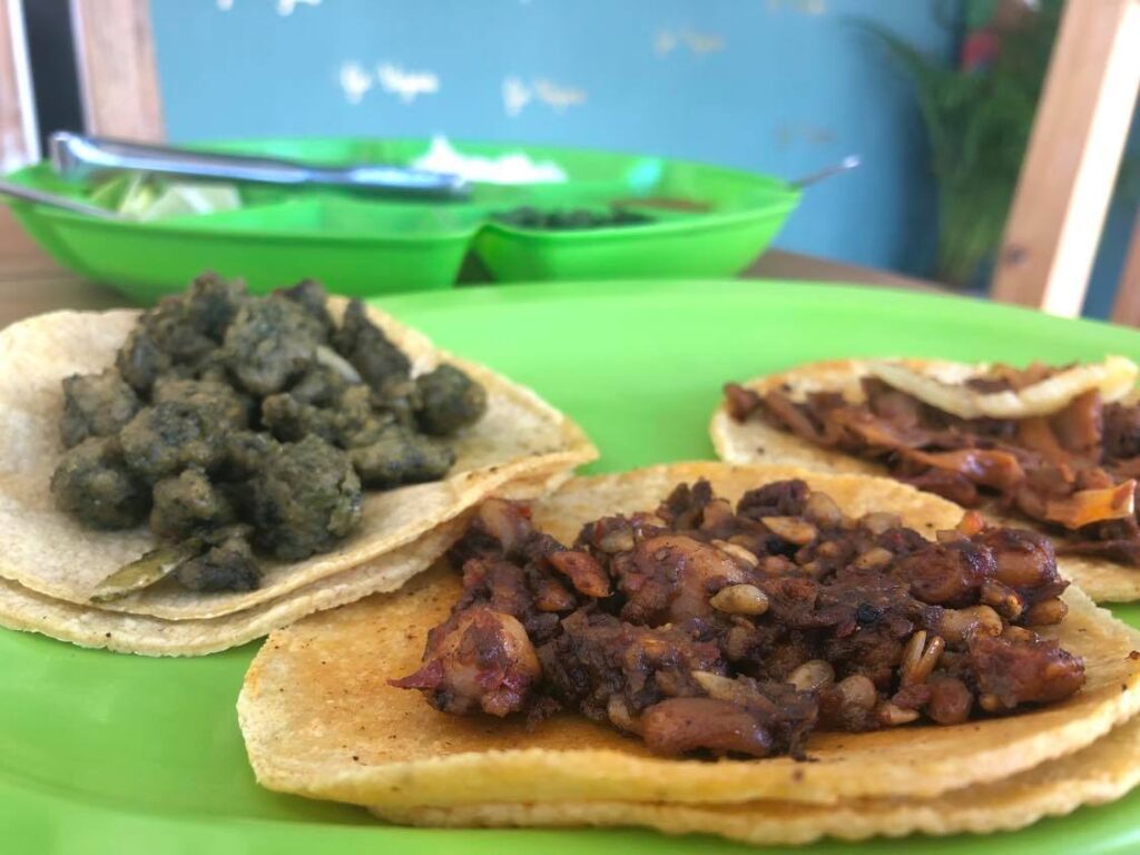 best vegan tacos in tulum