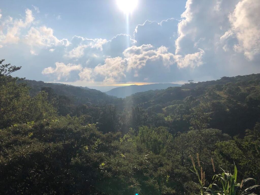 monteverde views