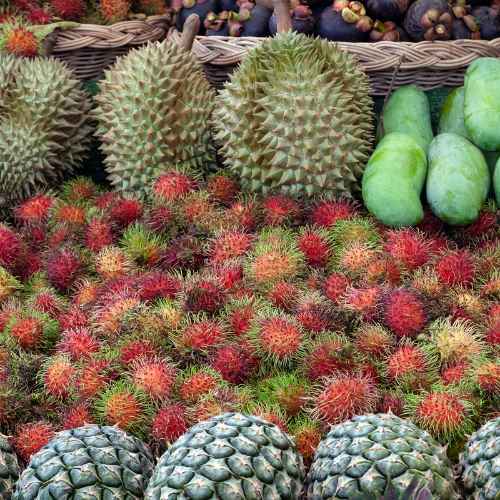 fresh fruit in thailand