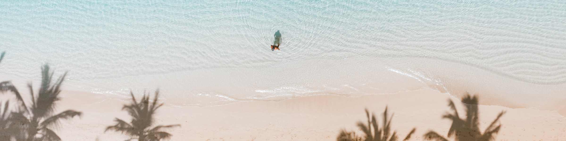 The Best Hawaiian Islands For Vegans in 2023 Roaming Vegans