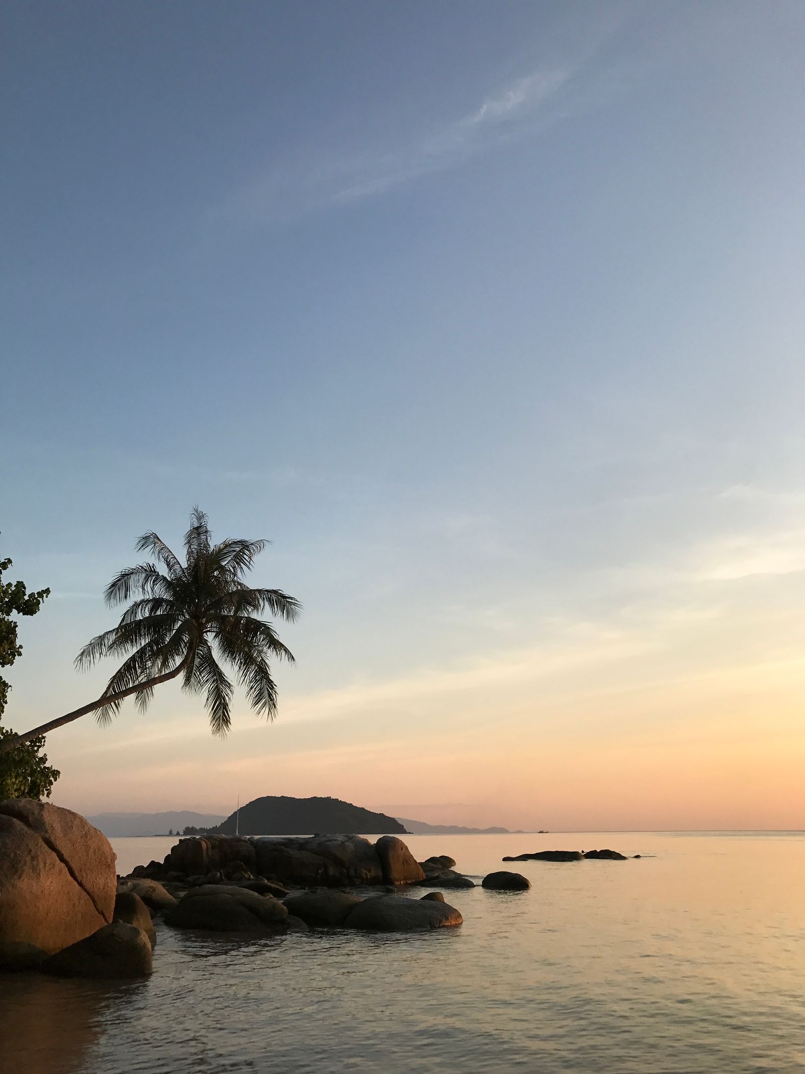 Sunset over a calm Koh Phangan beach with a palm tree and rocks