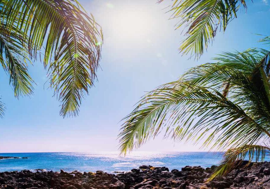 big island hawaii for vegans