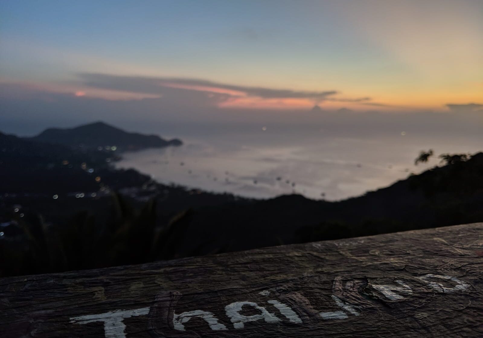 thailand vegan travel guide