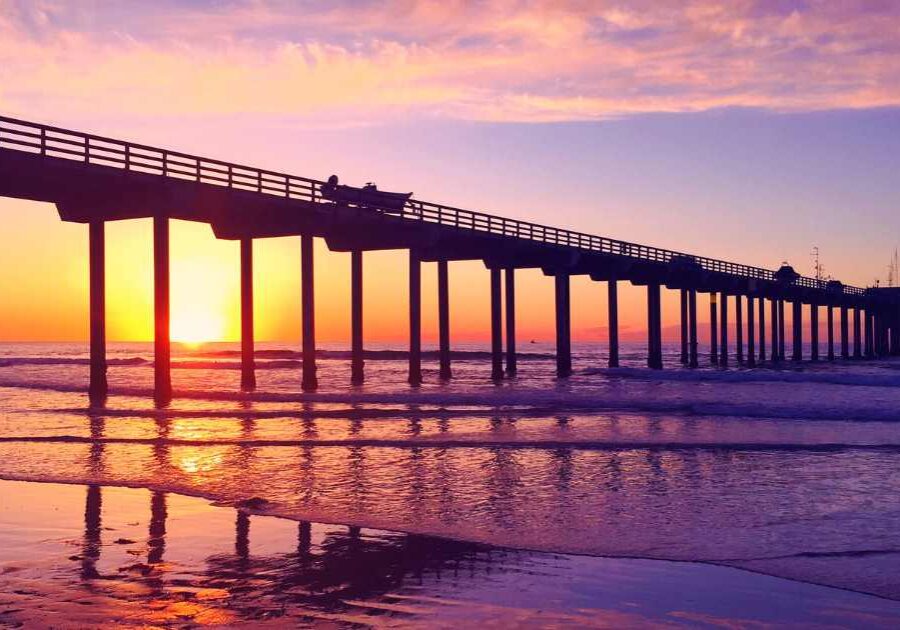 san diego vegan honeymoon