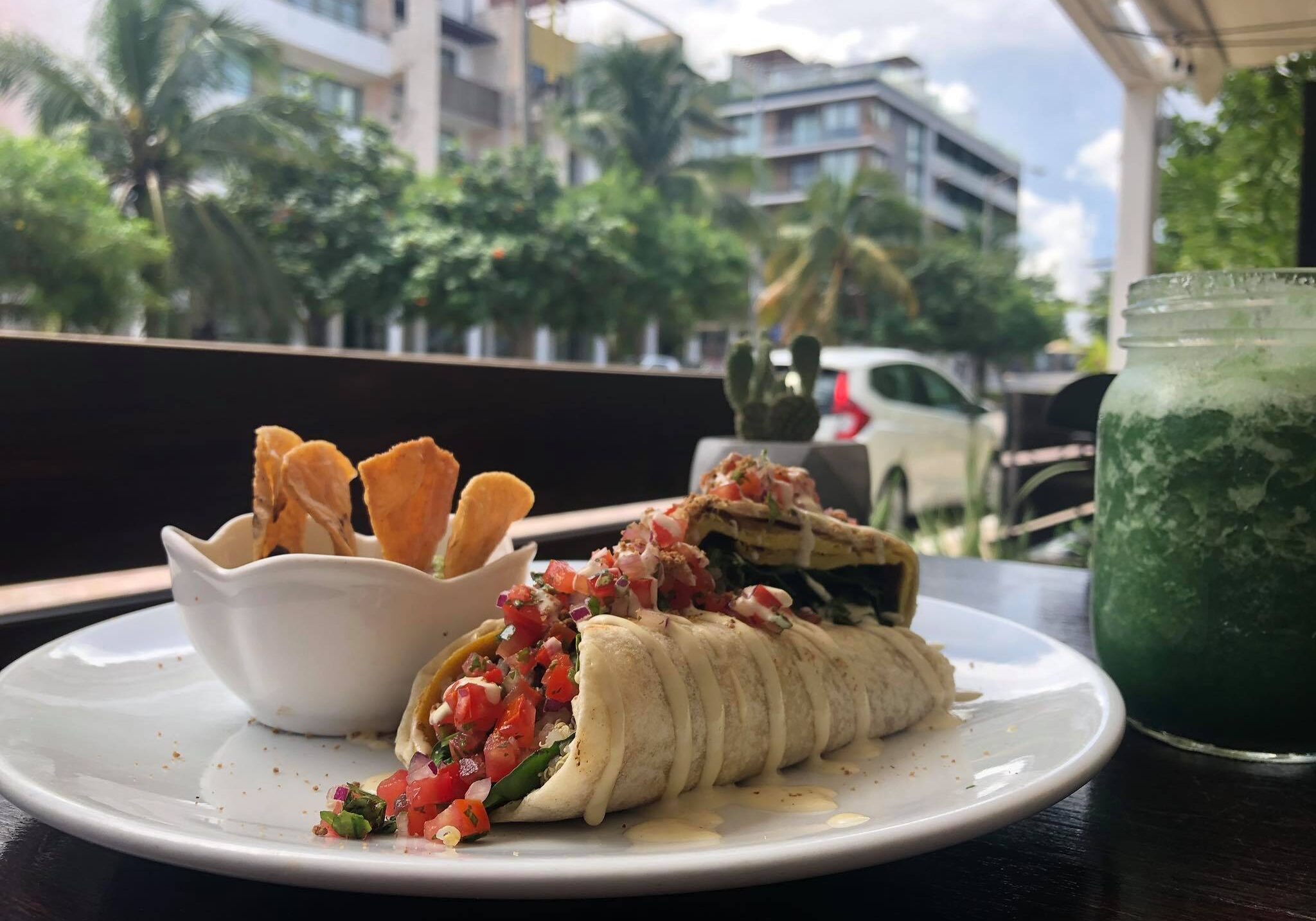 the pitted date playa del carmen