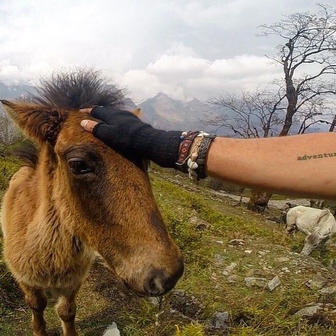 vegan travels in nepal